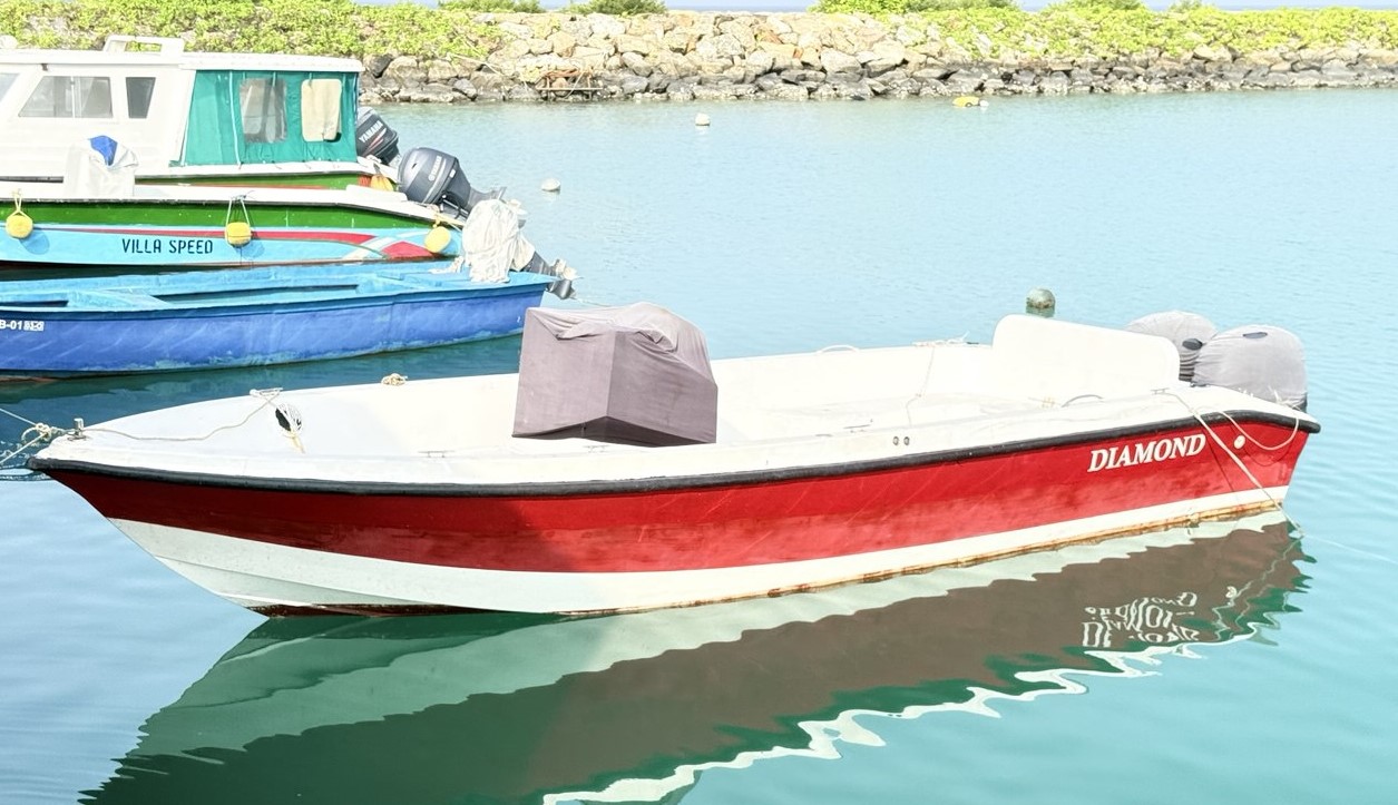 ޑައިމަންޑް _ ޑިންގީ
