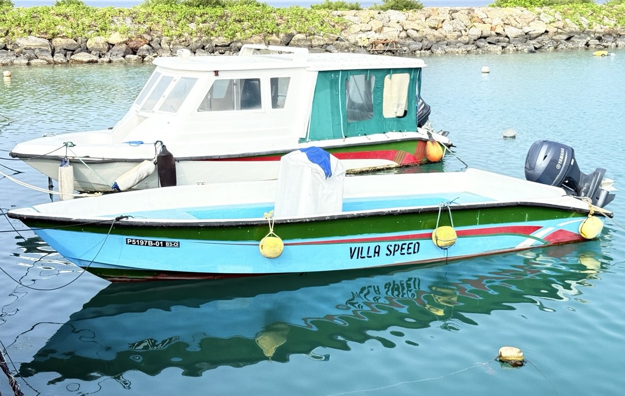 ވިލާ ސްޕީޑް _ ޑިންގީ