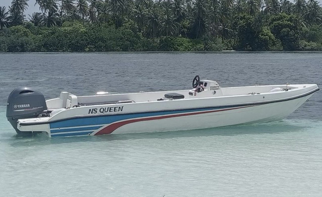 އެން އެސް ކްެއީން _ ޑިންގީ