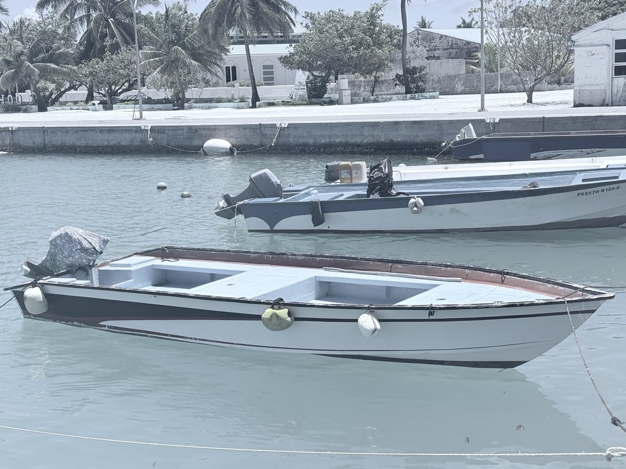 ޙުސެއިން އަލީ- ޑިންގީ