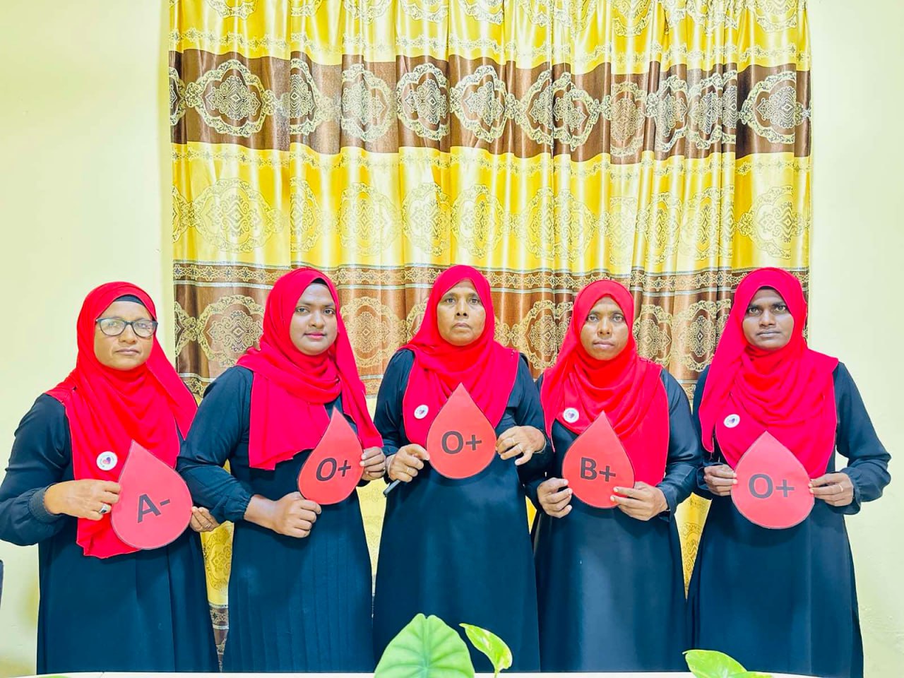 ވޯޑު ޑިވެލޮޕްމަންޓް ކޮމިޓީ