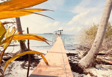 ދިވެހި ލީޤް ސަރފިން މުބާރާތަށް ތައްޔާރުވުމުގެ ތެރެއިން